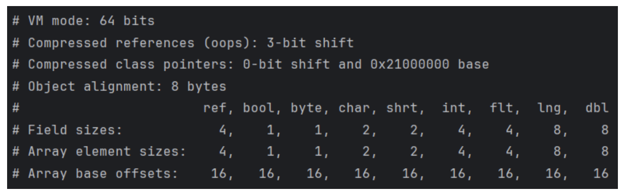 JOL VM details output